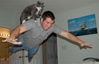 /album/fotogaleria-nuestra-mision/el-gato-volador-jpg/