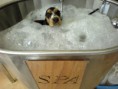 /album/fotogaleria-inicio/spa-0-jpg/
