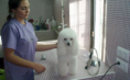 Peluquería